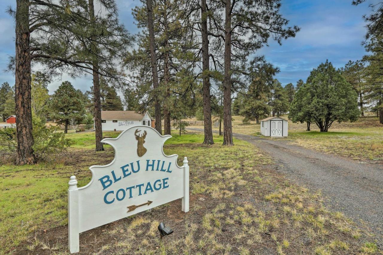 Bleu Hill Cottage Ski Snow Bowl&Hike Flagstaff! Exterior foto