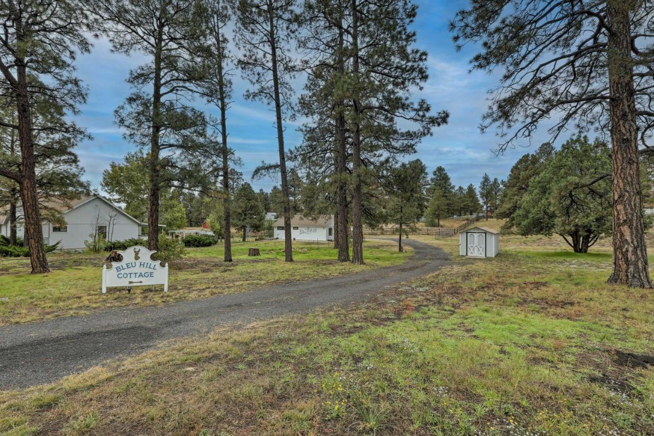 Bleu Hill Cottage Ski Snow Bowl&Hike Flagstaff! Exterior foto